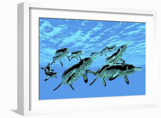 Cymbospondylus Ichthyosaurs Swim Together in a Pod Searching for Prey-Stocktrek Images-Framed Art Print