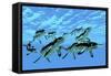Cymbospondylus Ichthyosaurs Swim Together in a Pod Searching for Prey-Stocktrek Images-Framed Stretched Canvas