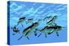 Cymbospondylus Ichthyosaurs Swim Together in a Pod Searching for Prey-Stocktrek Images-Stretched Canvas