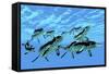 Cymbospondylus Ichthyosaurs Swim Together in a Pod Searching for Prey-Stocktrek Images-Framed Stretched Canvas