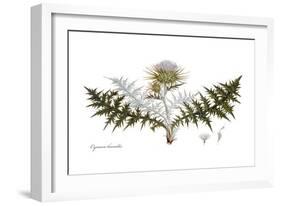 Cynara humilis, Flora Graeca-Ferdinand Bauer-Framed Giclee Print