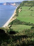 Fossil Bearing Lias Beds, Seven Rock Point, Jurassic Coast, Lyme Regis-Cyndy Black-Photographic Print