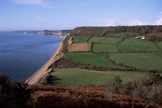 East Devon Coast Path, Near Sidmouth, Devon, England, United Kingdom-Cyndy Black-Stretched Canvas