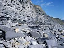 Fossil Bearing Lias Beds, Seven Rock Point, Jurassic Coast, Lyme Regis-Cyndy Black-Photographic Print