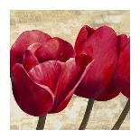 Red Tulips (detail)-Cynthia Ann-Stretched Canvas
