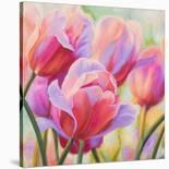Tulips in Wonderland-Cynthia Ann-Stretched Canvas