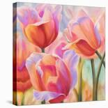 Red Tulips (detail)-Cynthia Ann-Stretched Canvas