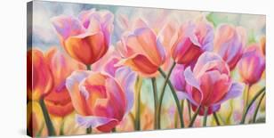 Red Tulips (detail)-Cynthia Ann-Stretched Canvas