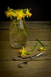 A Colorful Array of Fresh Garden Veggies Sit on a Rustic White Farm Table-Cynthia Classen-Photographic Print