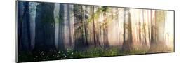 Wood Mount