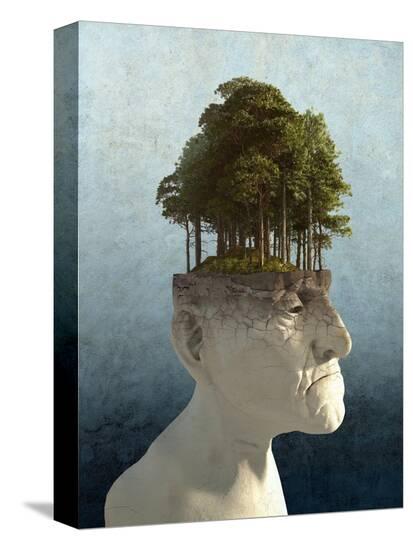Stretched Canvas Print, , large