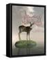Framed Canvas