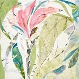 Bean Tree-Cynthia MacCollum-Art Print