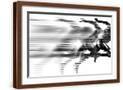 Brown Frame