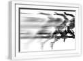 White Frame