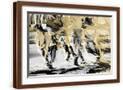 Brown Frame