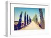 Cypress Alley-gkuna-Framed Photographic Print