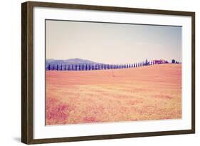 Cypress Alley-gkuna-Framed Photographic Print