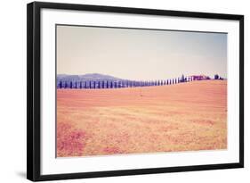 Cypress Alley-gkuna-Framed Photographic Print