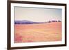 Cypress Alley-gkuna-Framed Photographic Print