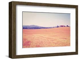 Cypress Alley-gkuna-Framed Photographic Print