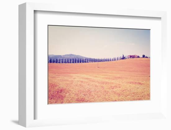 Cypress Alley-gkuna-Framed Photographic Print