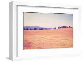 Cypress Alley-gkuna-Framed Photographic Print