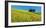 Cypress and corn field, Tuscany, Italy-Frank Krahmer-Framed Art Print