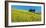 Cypress and corn field, Tuscany, Italy-Frank Krahmer-Framed Art Print