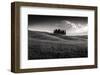 Cypress Cluster-Michael Hudson-Framed Art Print