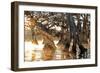 Cypress Creek II-Bruce Nawrocke-Framed Premium Giclee Print