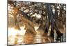 Cypress Creek II-Bruce Nawrocke-Mounted Premium Giclee Print