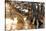 Cypress Creek II-Bruce Nawrocke-Stretched Canvas