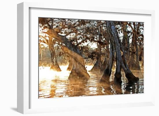 Cypress Creek II-Bruce Nawrocke-Framed Art Print