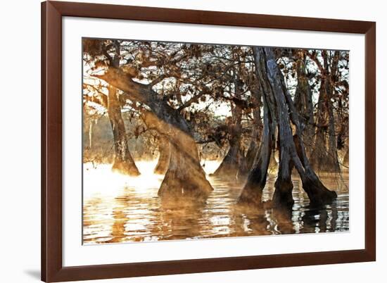 Cypress Creek II-Bruce Nawrocke-Framed Art Print