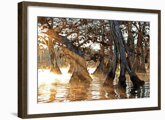 Cypress Creek II-Bruce Nawrocke-Framed Art Print