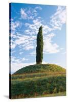 Cypress Friaul Italy-null-Stretched Canvas