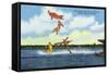 Cypress Gardens, Florida - View of Clowns Waterskiing-Lantern Press-Framed Stretched Canvas