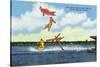 Cypress Gardens, Florida - View of Clowns Waterskiing-Lantern Press-Stretched Canvas