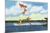 Cypress Gardens, Florida - View of Clowns Waterskiing-Lantern Press-Mounted Art Print