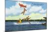 Cypress Gardens, Florida - View of Clowns Waterskiing-Lantern Press-Mounted Art Print