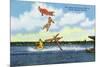 Cypress Gardens, Florida - View of Clowns Waterskiing-Lantern Press-Mounted Premium Giclee Print