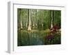 Cypress Gardens in South Carolina-James Randklev-Framed Photographic Print