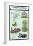 Cypress Gardens, South Carolina - Nautical Chart-Lantern Press-Framed Art Print
