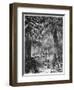 Cypress Grove at Chapultepec, Mexico City, 1877-null-Framed Giclee Print