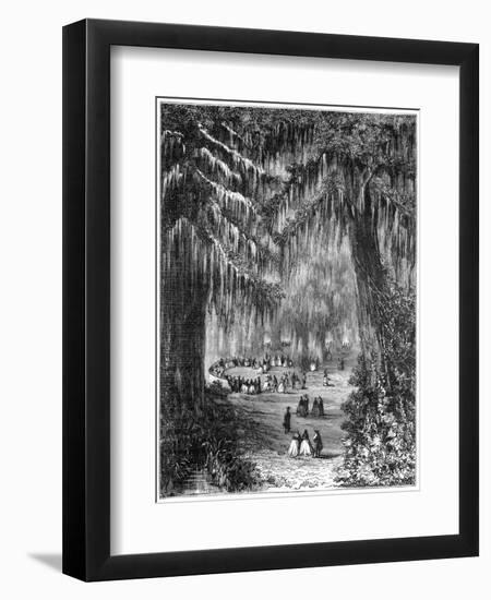 Cypress Grove at Chapultepec, Mexico City, 1877-null-Framed Giclee Print