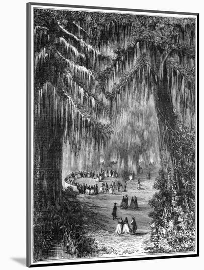 Cypress Grove at Chapultepec, Mexico City, 1877-null-Mounted Giclee Print