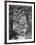 Cypress Grove at Chapultepec, Mexico City, 1877-null-Framed Giclee Print