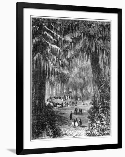 Cypress Grove at Chapultepec, Mexico City, 1877-null-Framed Giclee Print