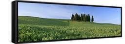 Canvas Black
